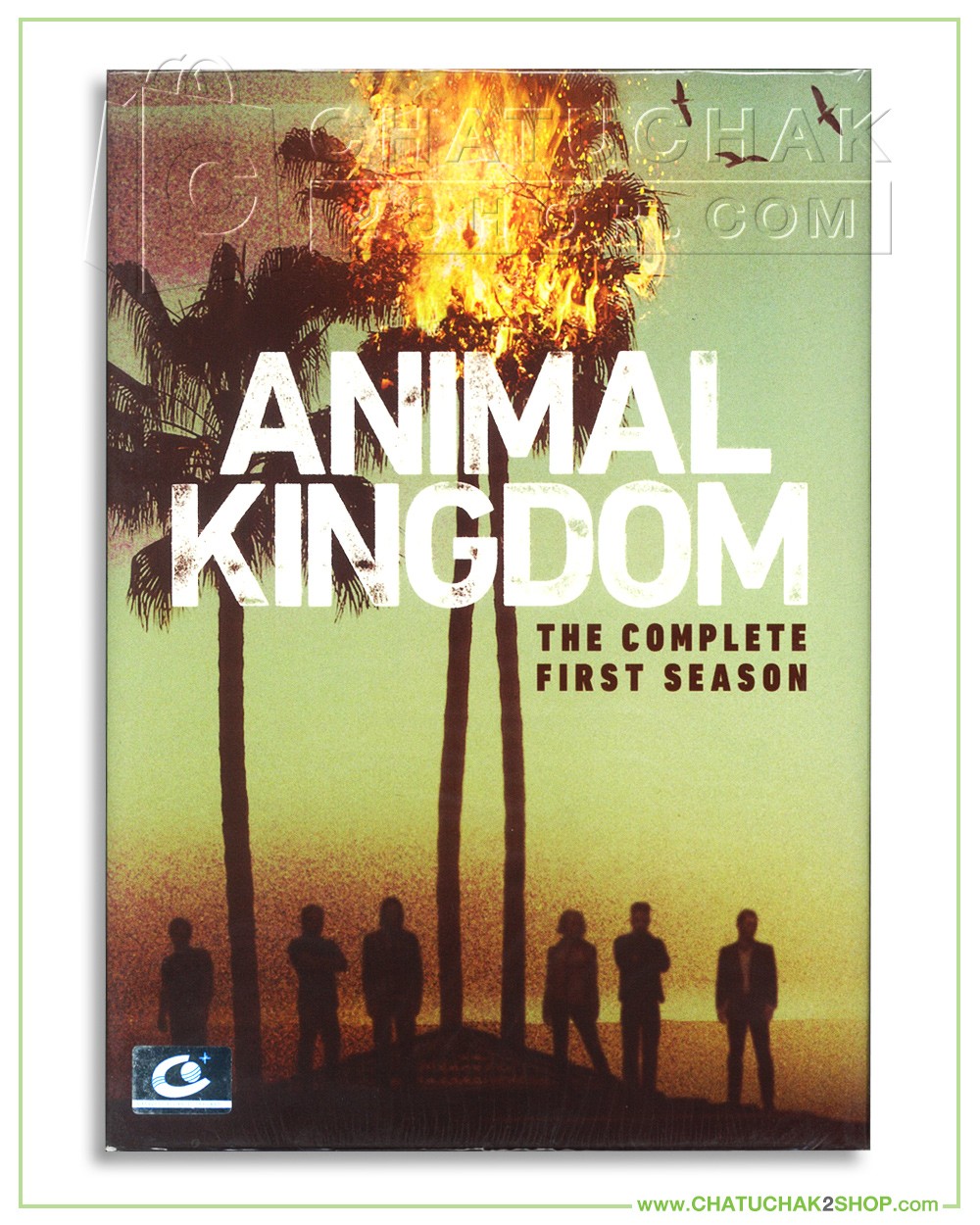 Animal Kingdom : The Complete 1st Season DVD Series (3 discs)
