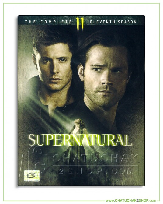 Supernatural : The Complete 11th Season DVD Series (6 discs)
