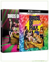 Birds of Prey 4K Ultra HD Steelbook includes Blu-ray 2D (Free Postcard)