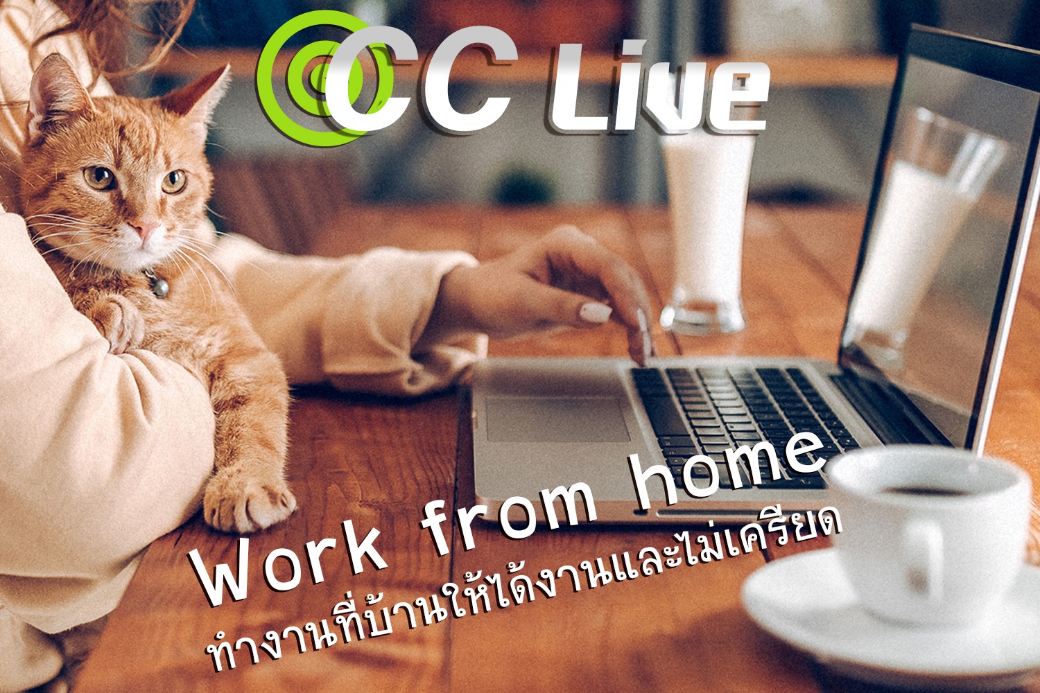 Work from home ยังไงให้ได้งานและไม่เครียด